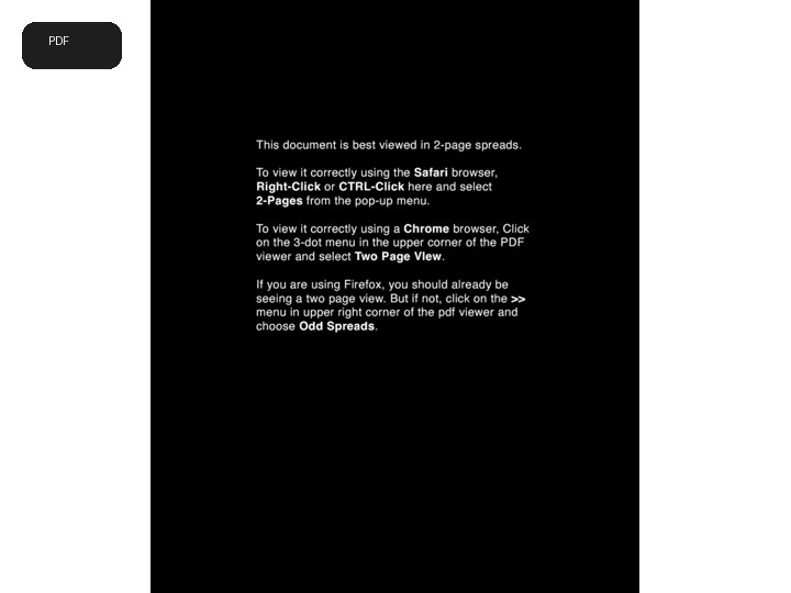 Salem: A Creative Non-Fiction Art Book preview